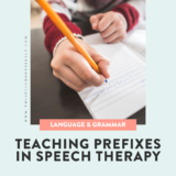 Teaching Prefixes in Speech Therapy